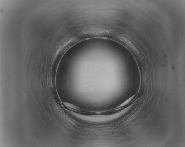 X0000073900399200609011723