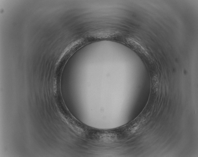 X0000073900400200609011723