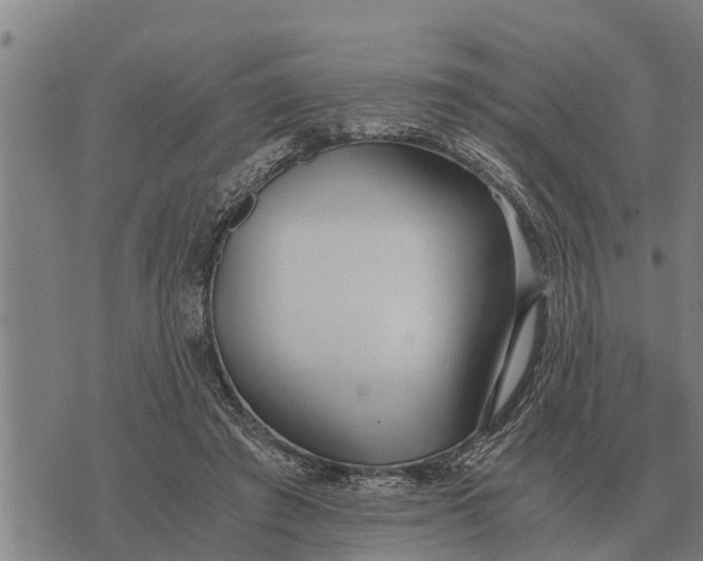 X0000073900401200609011723