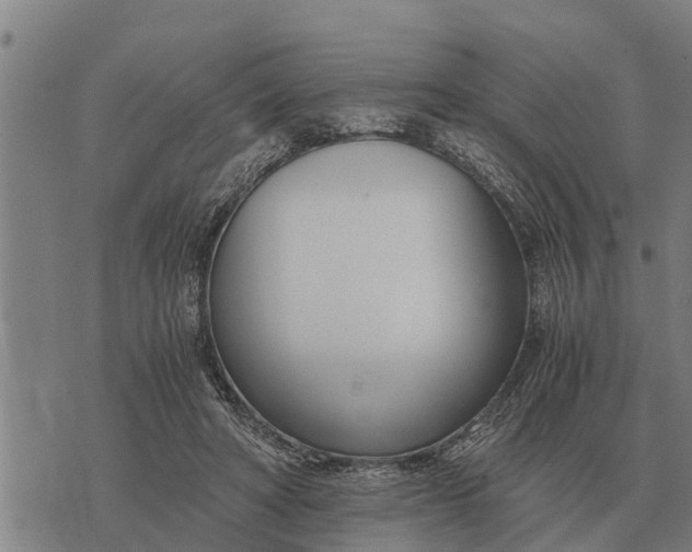 X0000073900402200609011723