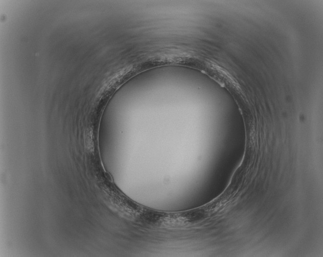 X0000073900403200609011723