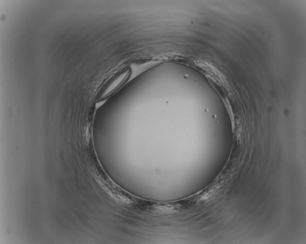 X0000073900405200609011723