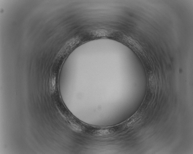 X0000073900406200609011723