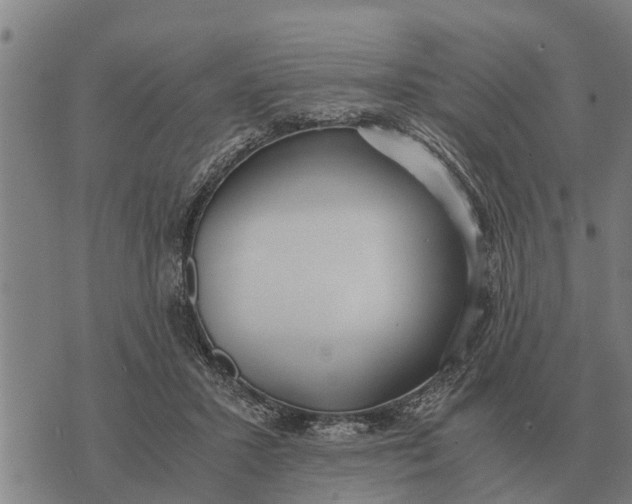 X0000073900407200609011723