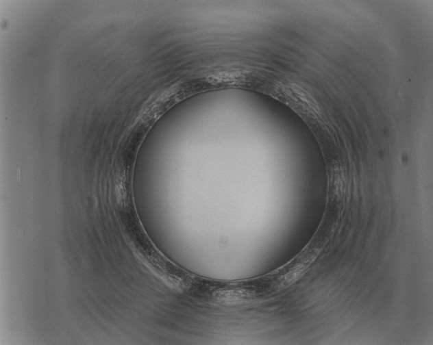 X0000073900408200609011723