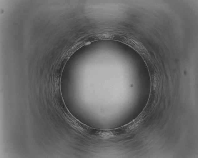 X0000073900409200609011723