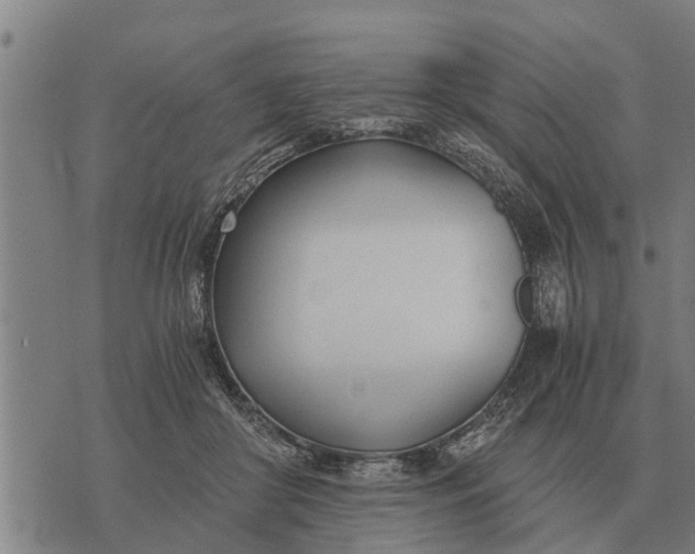 X0000073900410200609011723