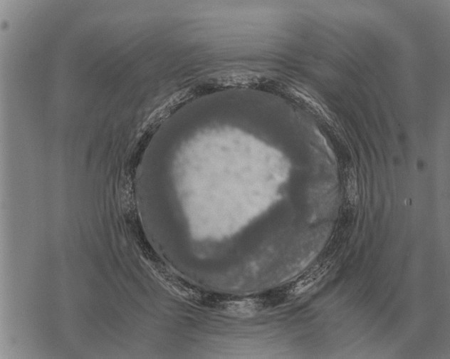 X0000073900411200609011723