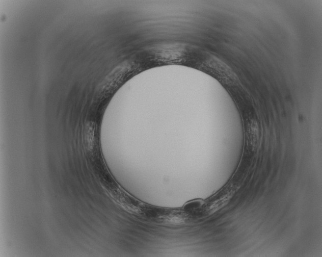 X0000073900412200609011723