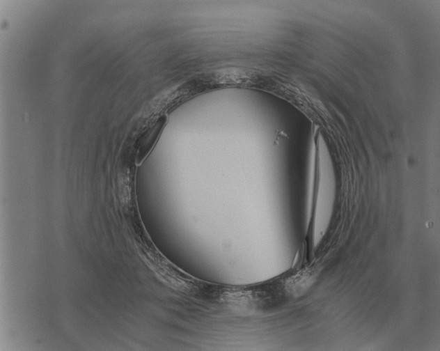 X0000073900413200609011723