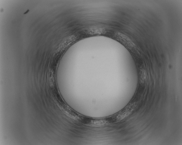 X0000073900414200609011723