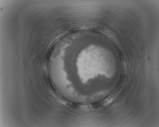 X0000073900415200609011723