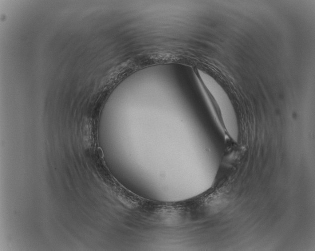 X0000073900416200609011723