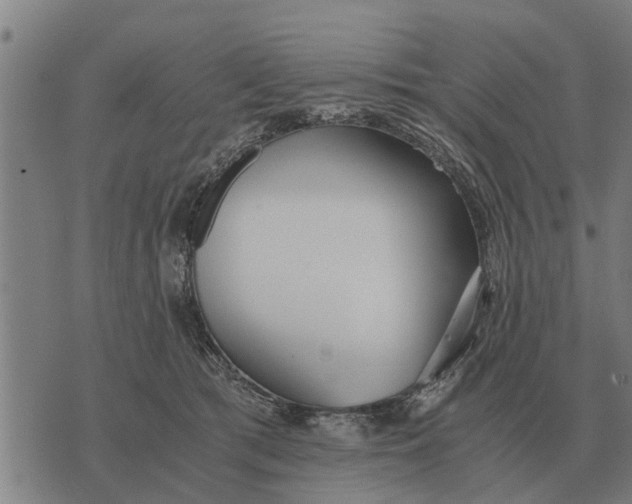 X0000073900417200609011723