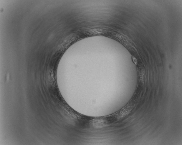 X0000073900418200609011723