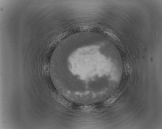 X0000073900419200609011723