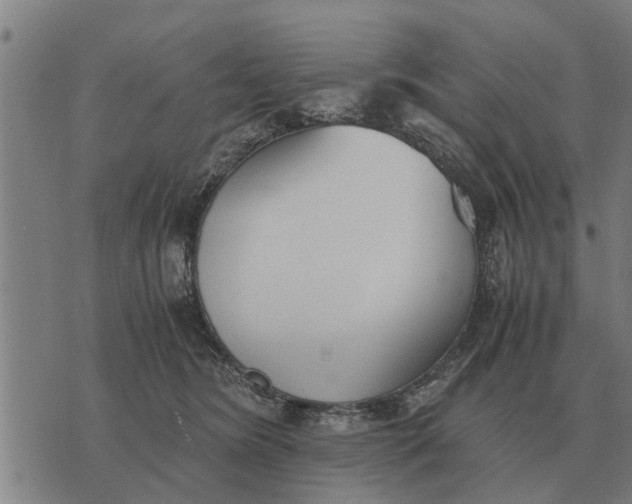 X0000073900420200609011723