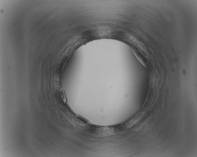 X0000073900421200609011723