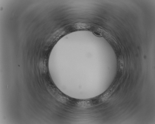 X0000073900422200609011723