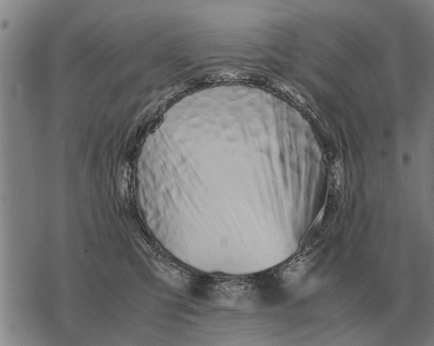 X0000073900423200609011723