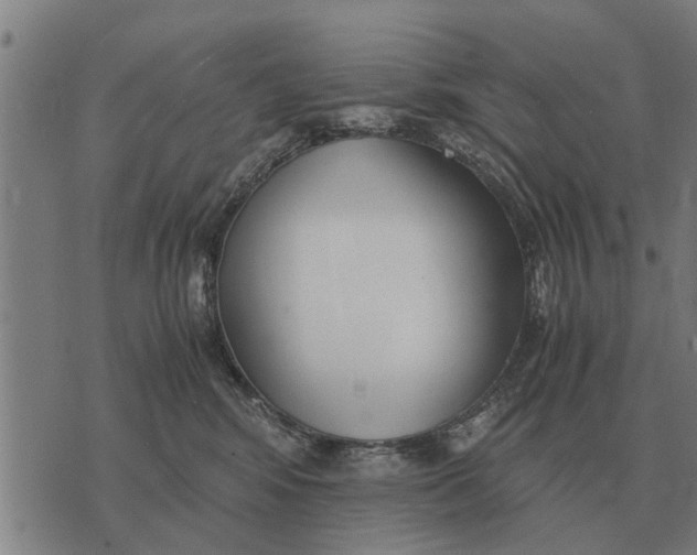 X0000073900424200609011723