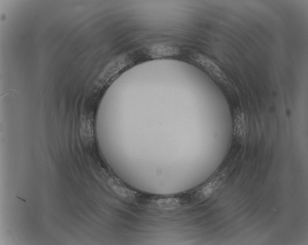 X0000073900426200609011723