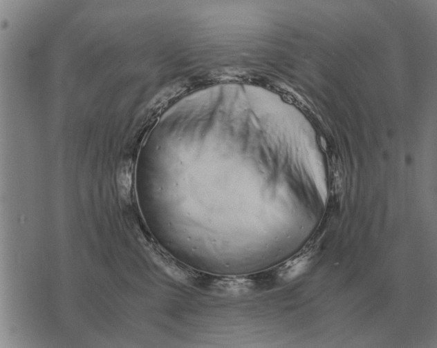 X0000073900427200609011723