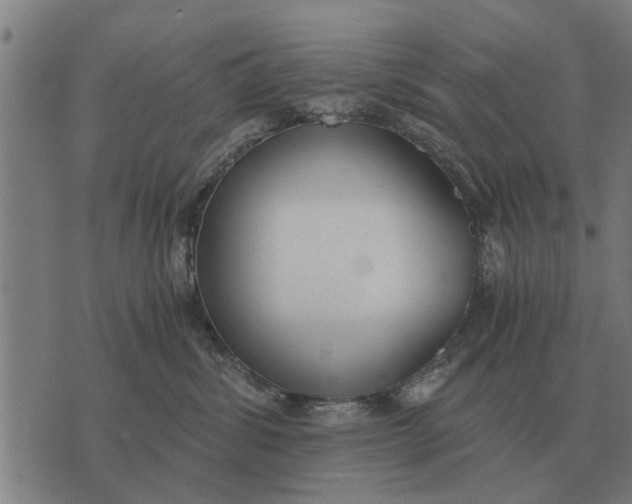 X0000073900428200609011723