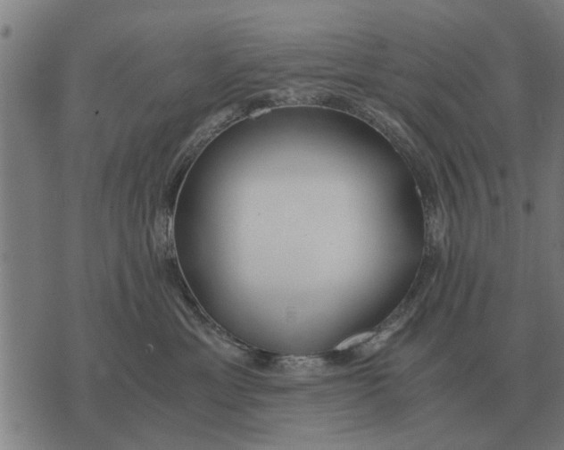 X0000073900429200609011723