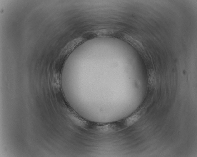 X0000073900430200609011723