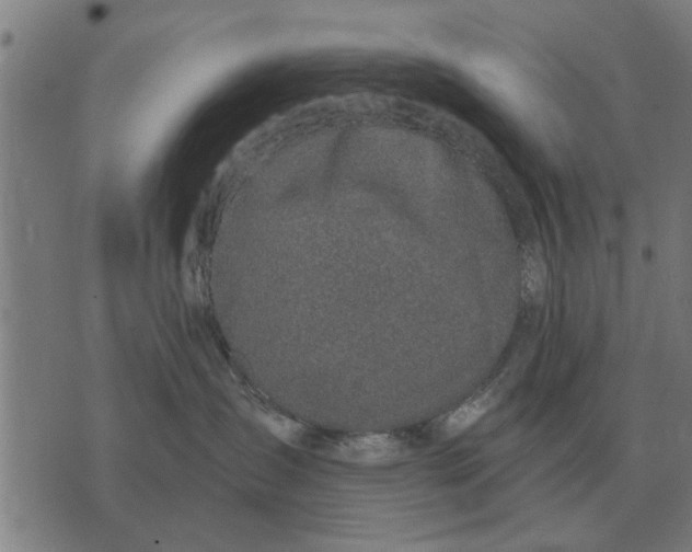 X0000073900431200609011723