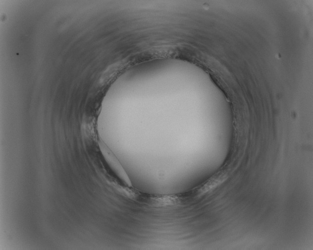 X0000073900432200609011723