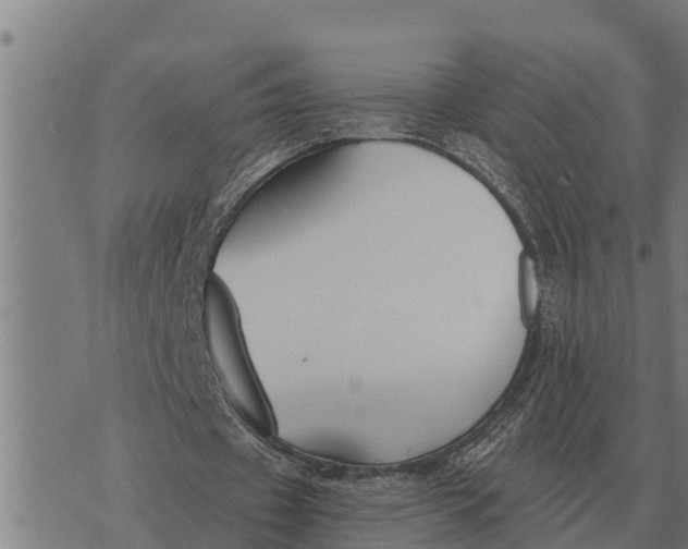 X0000073900433200609011722