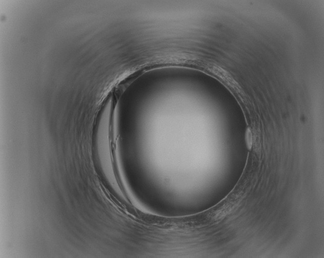 X0000073900434200609011722