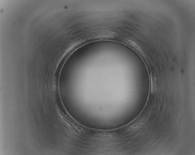 X0000073900435200609011722