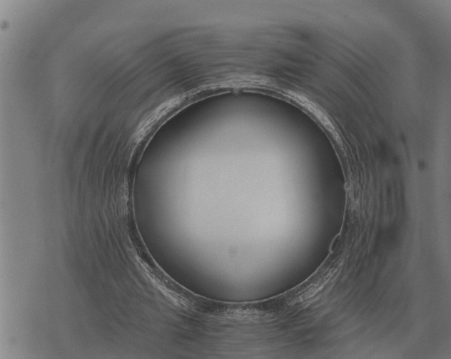 X0000073900437200609011722