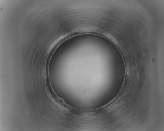 X0000073900438200609011722