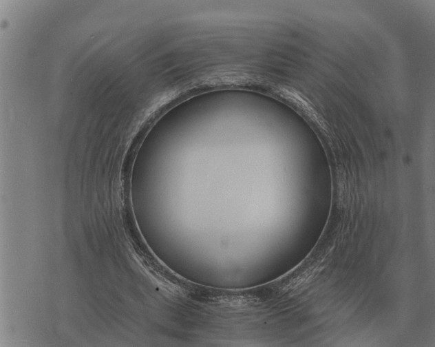 X0000073900439200609011722