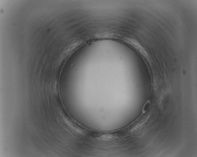 X0000073900441200609011722