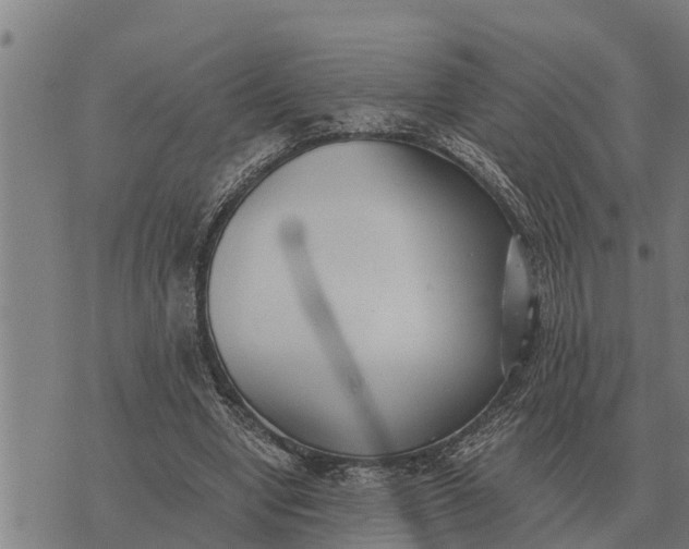 X0000073900442200609011722