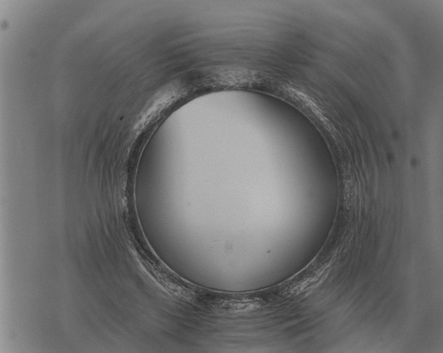 X0000073900443200609011722