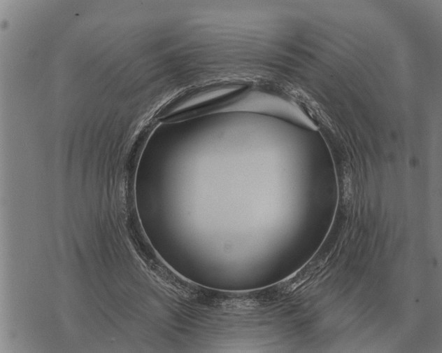 X0000073900444200609011722