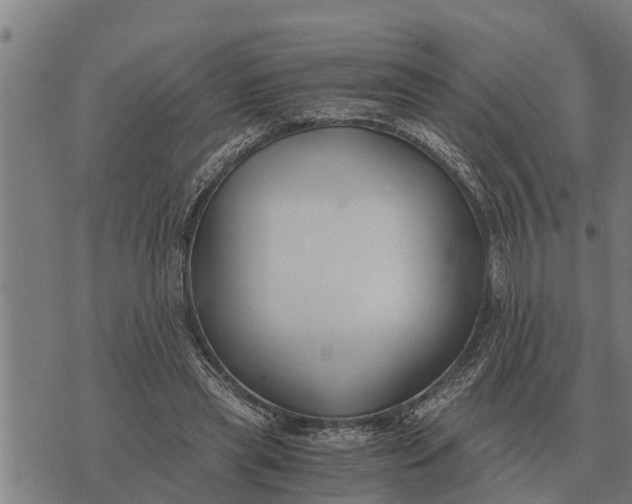 X0000073900445200609011722