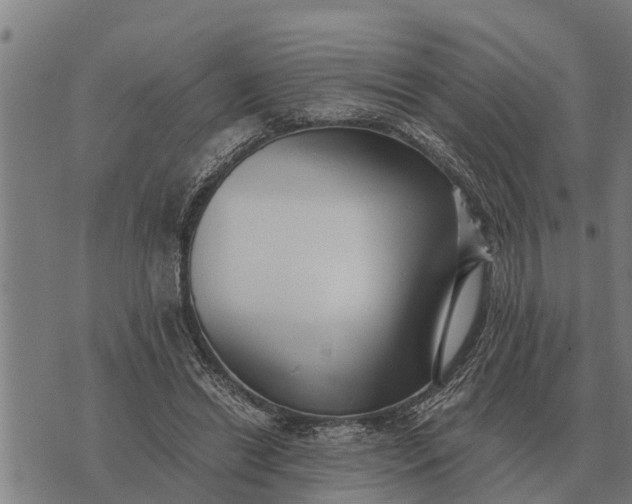 X0000073900446200609011722