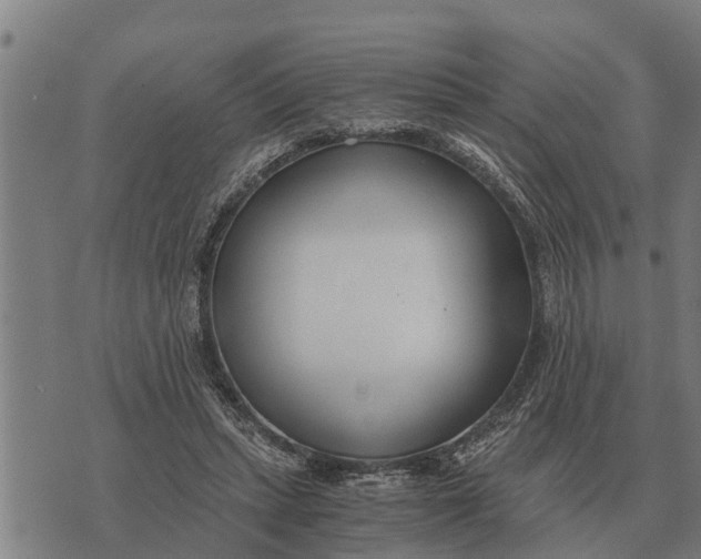 X0000073900447200609011722