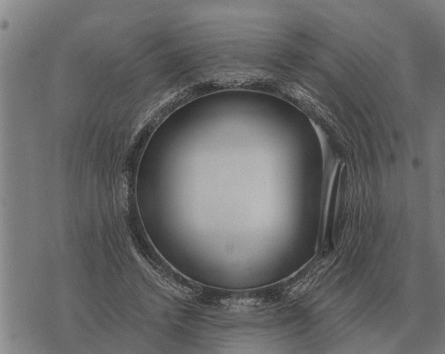 X0000073900448200609011722