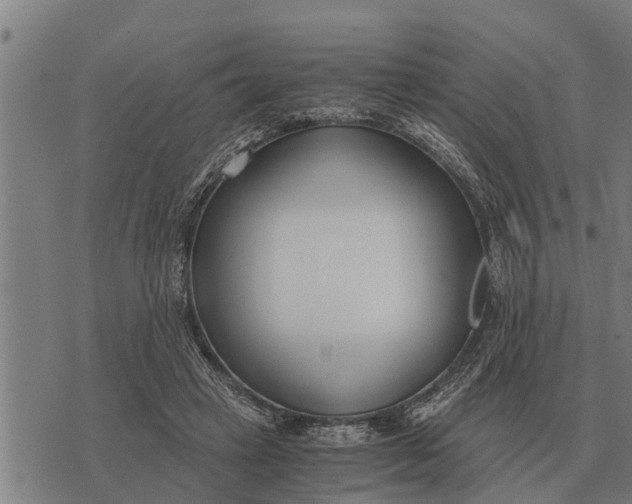 X0000073900449200609011722