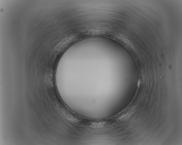 X0000073900450200609011722