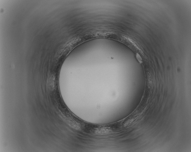 X0000073900451200609011722