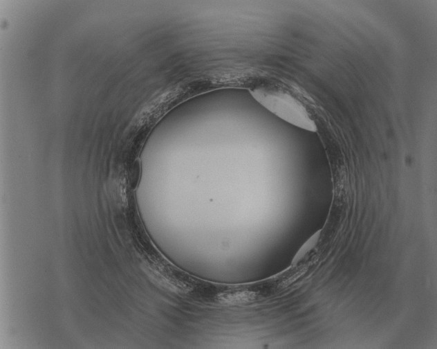 X0000073900452200609011722